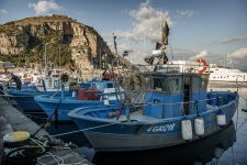 https://www.hostariadelvicoletto.it/uploads/tbl_photogallery/201404260442__mas7582.jpg